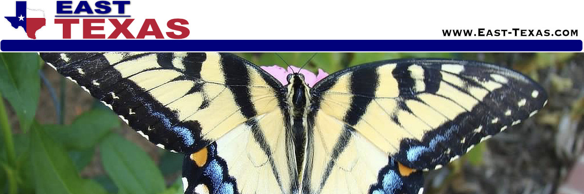 The Butterflies of East Texas, species and photos