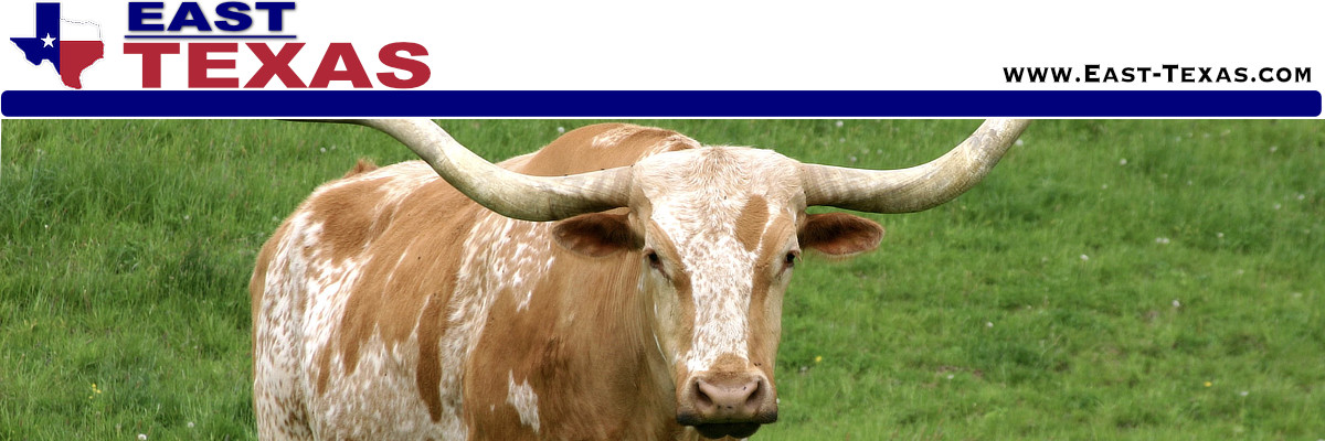 New Summerfield in East Texas, location, population and local resources