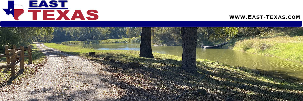 City of Diboll in East Texas, location, map, attractions, photos and population