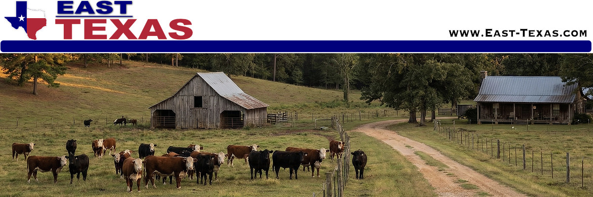 The City of Center in East Texas