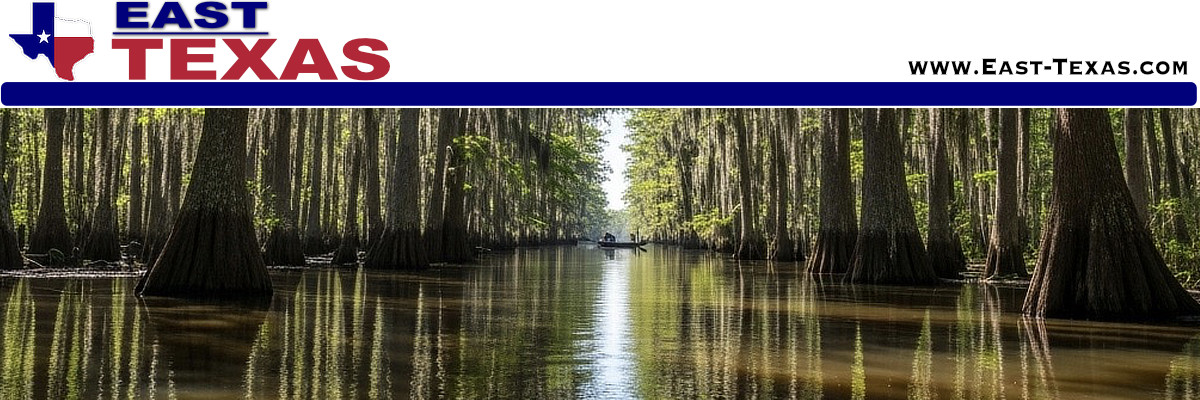 Lumberton Texas in Hardin County near the Big Thicket National Preserve, Village Creek State Park, Village Creek Paddling Trail, and the Roy E. Larson “Sandyland” Sanctuary. 