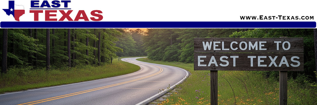 City of Tatum in East Texas, location, map, wildflower festival, population, local resources and photos
