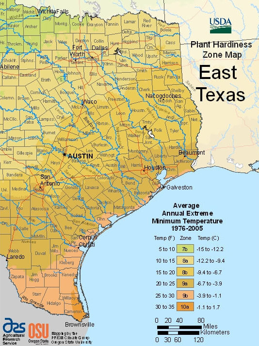 USDA Plant Hardiness Zone Map for East Texas
