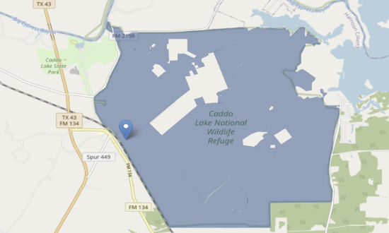 Caddo Lake National Wildlife Refuge map in East Texas