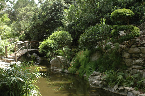 Zilker Botanical Gardens in Austin