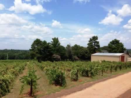 Kiepersol Winery in Tyler Texas