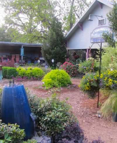 Blue Moon Gardens and nursery in Edom, Texas