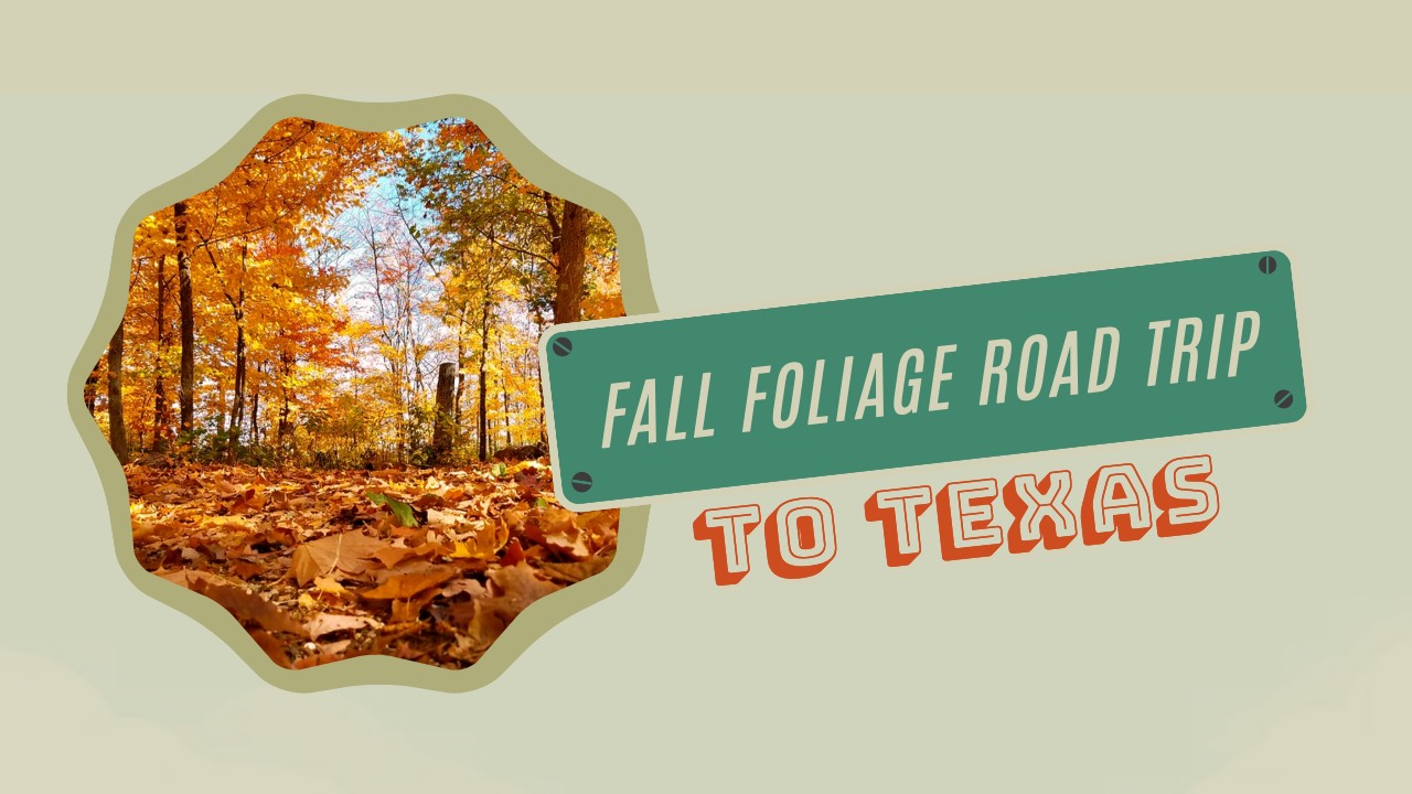 Fall foliage road trip to Texas in 2021