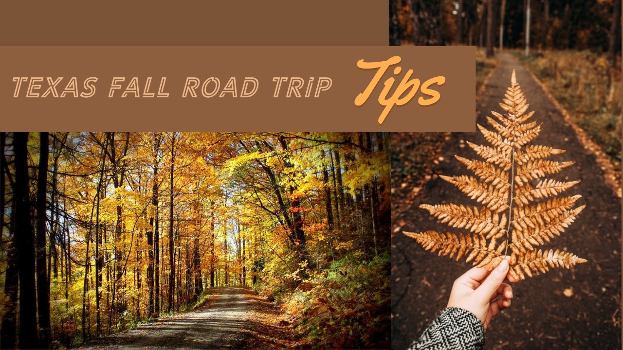Texas fall road trip tips and tours