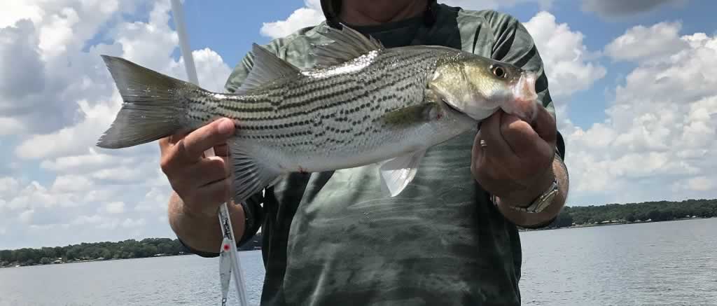 Bass fishing at Lake Livingston in East Texas