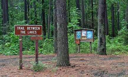 Trail Between the Lakes in Deep East Texas in the Sabine National Forest