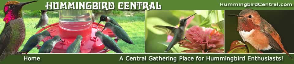Hummingbird Central website ... a Central Gathering Place for Hummingbird Enthusiasts!