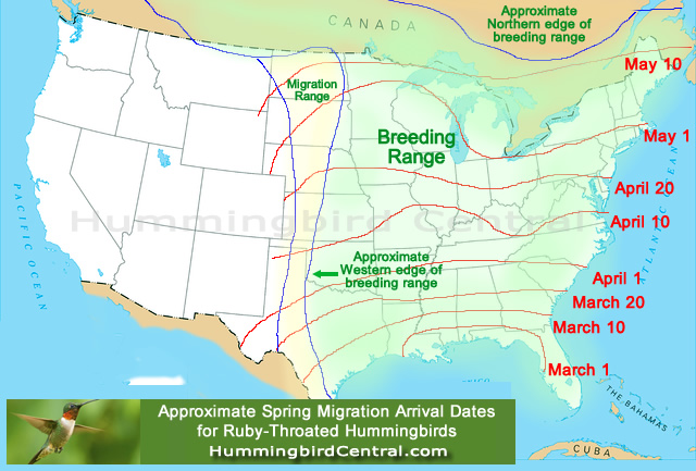 Map of approximate spring migration arrival times in East Texas