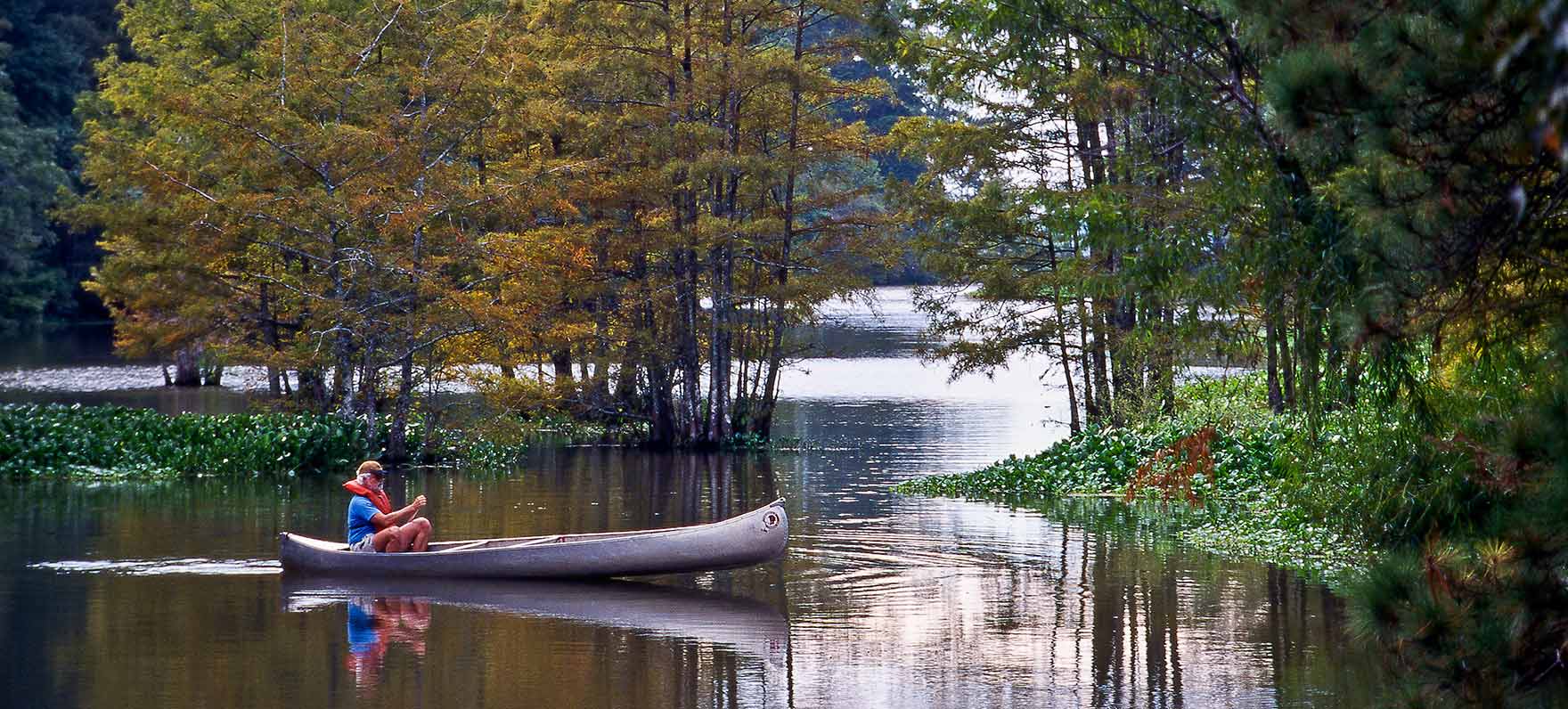 Canoe ride on the quiet waters at Martin Dies, Jr. State Park and Steinhagen Reservoir in East Texas