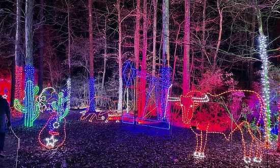 Christmas scene at Piney Park in Marshall, Texas in December, 2021