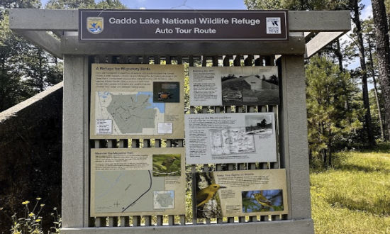 Sign for the Auto Tour Route at the Caddo Lake National Wildlife Refuge in East Texas
