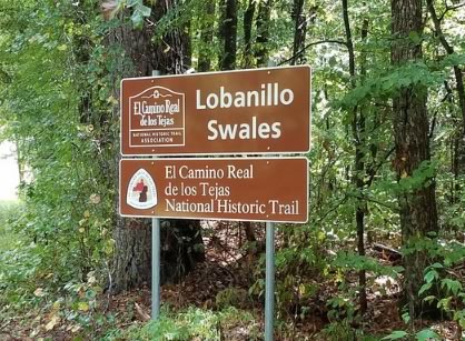 Lobanillo Swales in East Texas