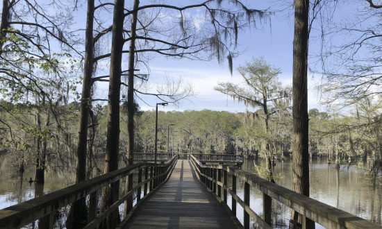 Boardwalk at Caddo Lake State Park in East Texas