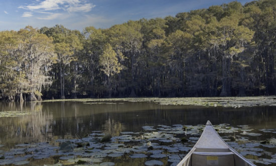 Canoe trip into the swamps at Caddo Lake State Park in East Texas