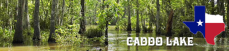 Caddo Lake in East Texas: location, maps, photos, fishing, things to do, and water levels