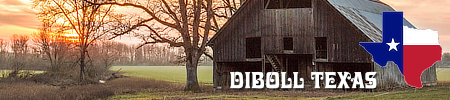 City of Diboll in East Texas, location, map, attractions, photos and population