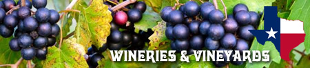 Texas Wineries and Vineyards, Texas wine growers and wine tours in East Texas