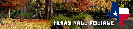 Fall foliage in Texas: tips for seeing autumn colors, road trips, photos, fall foliage cam and more!