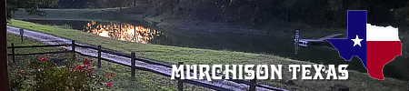 Murchison in East Texas, location, population, resources and map