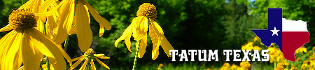 City of Tatum in East Texas, location, map, wildflower festival, population, local resources and photos