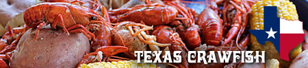 Texas Crawfish, Outlets, Craefish Festivals and Recipes