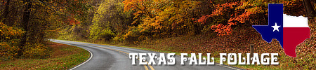 Texas fall foliage ... tours, roads, cities, maps, fall foliage cam and more!